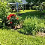 Camping Under The Walnut In Your Own Tent On A Shared Lot And Shared Bathroom