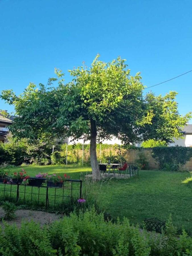 Kamp Camping Under The Walnut In Your Own Tent On A Shared Lot And Shared Bathroom Ljubljana