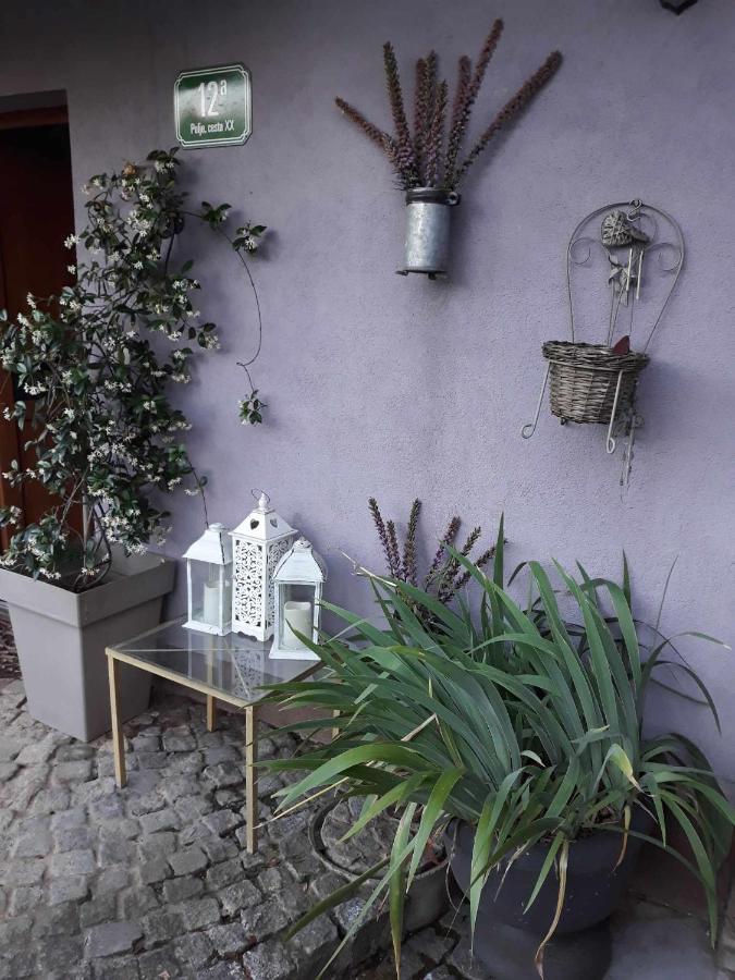 Camping Under The Walnut In Your Own Tent On A Shared Lot And Shared Bathroom Kamp Ljubljana