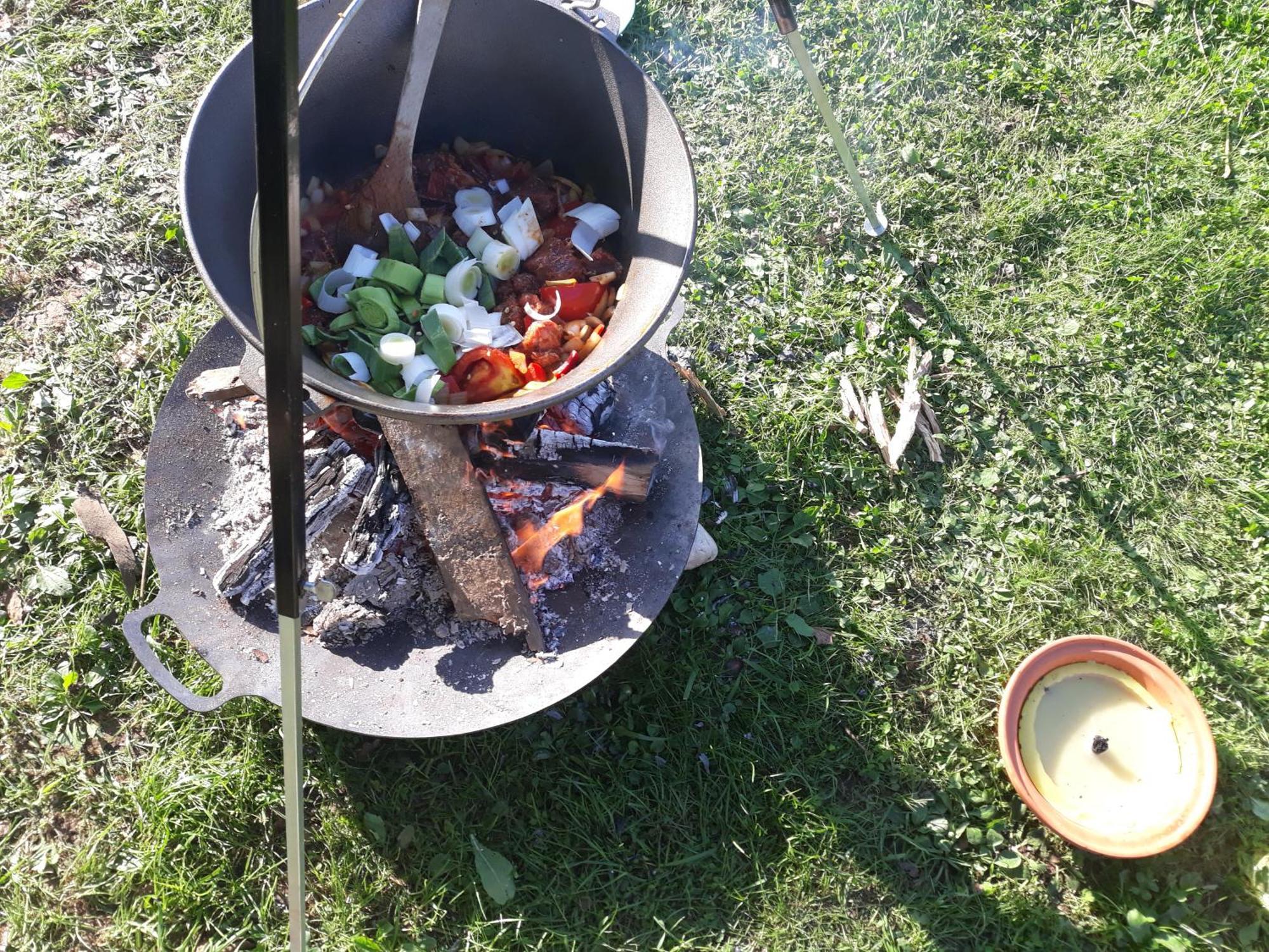 Camping Under The Walnut In Your Own Tent On A Shared Lot And Shared Bathroom Kamp