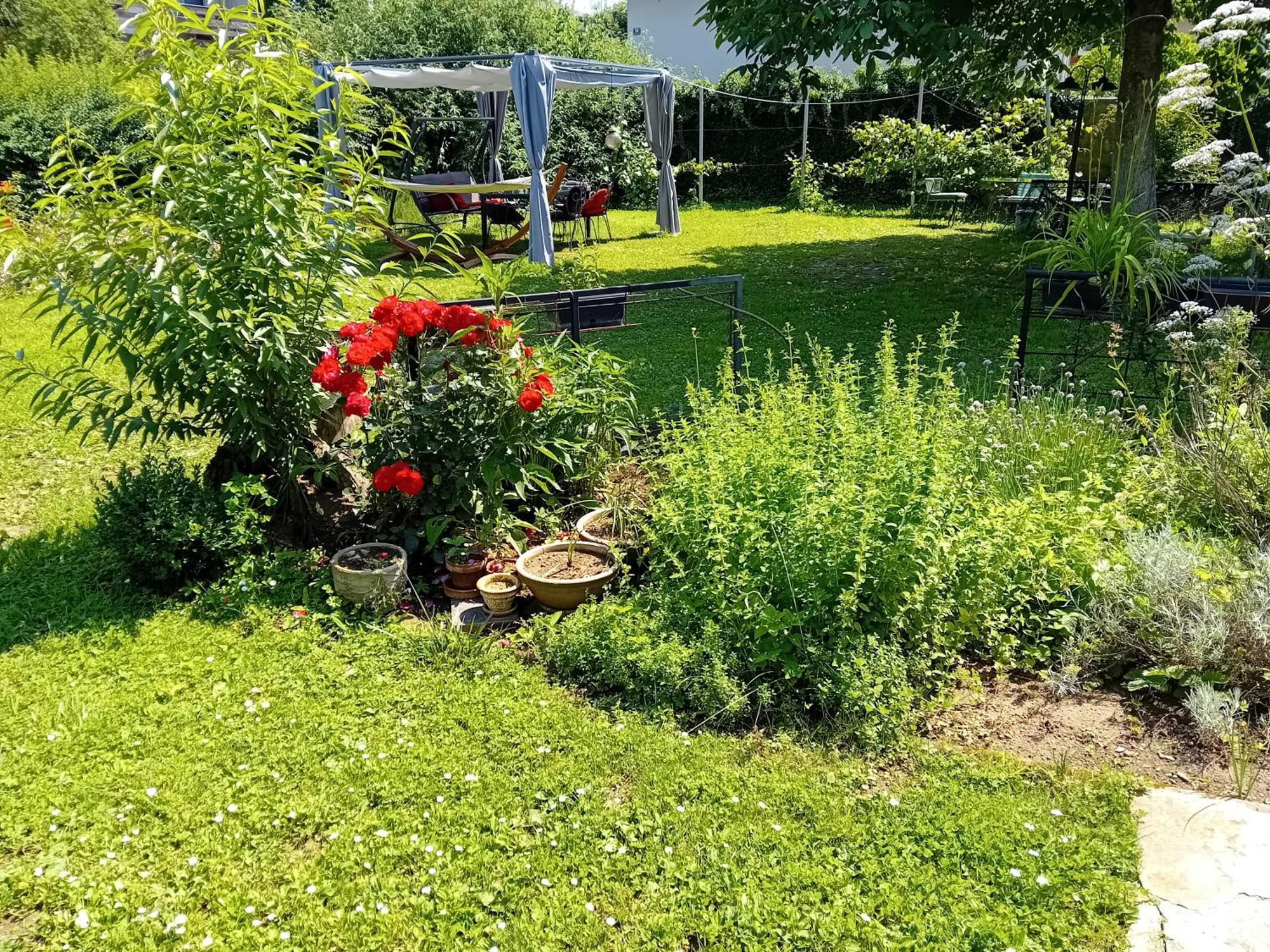 Camping Under The Walnut In Your Own Tent On A Shared Lot And Shared Bathroom Kamp Ljubljana